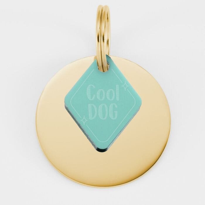 Médaille breloque chien acrylique coloré rétro 25x20 mm