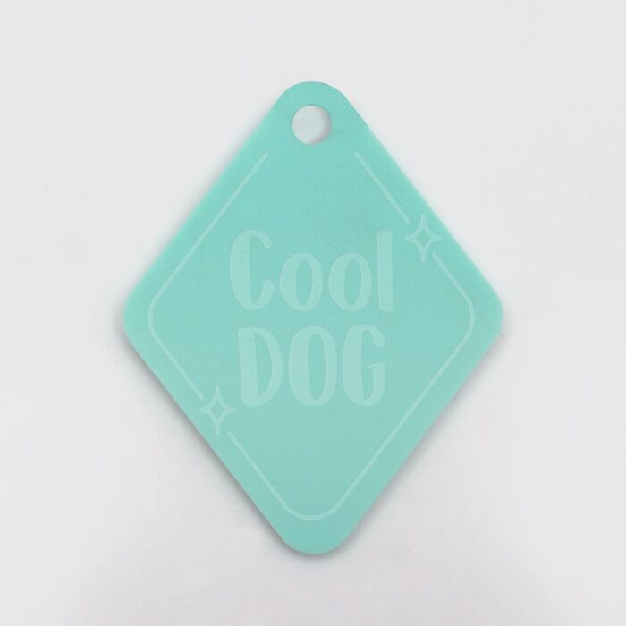 Médaille breloque chien acrylique coloré rétro 25x20 mm