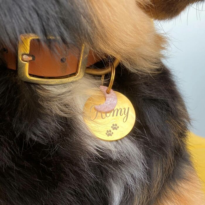 Médaille breloque chien acrylique pastel pailleté lune 16 mm