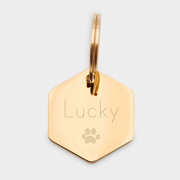 Médaille chien gravée acier inoxydable doré hexagone - Taille L (27x30 mm)