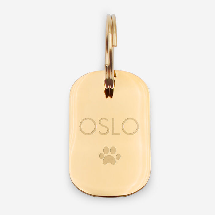 Médaille chien gravée acier inoxydable doré plaque militaire - Taille L (22x35 mm)