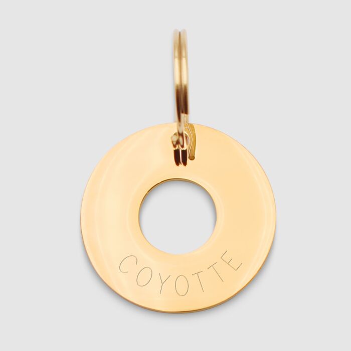 Médaille chien gravée acier inoxydable doré cible - Taille L (33 mm)