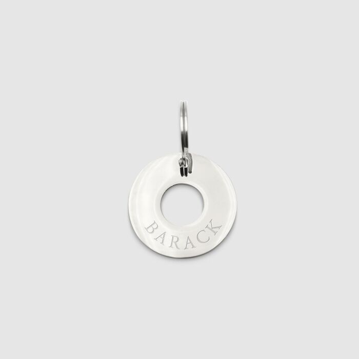 Médaille chien gravée acier inoxydable cible - Taille M (22 mm)