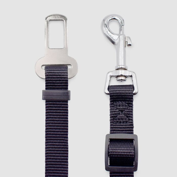 Ceinture de sécurité pour chien