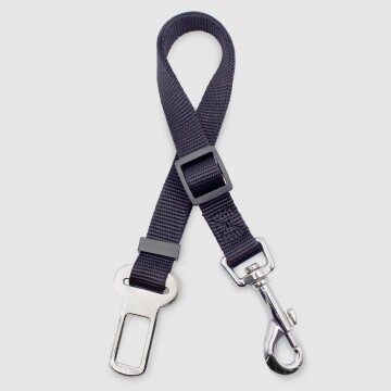 Ceinture de sécurité pour chien