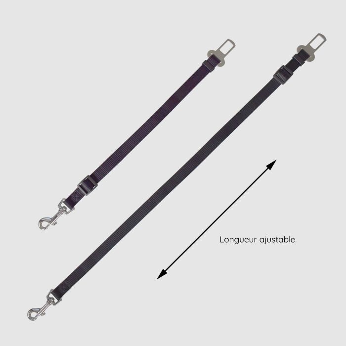 Ceinture de sécurité pour chien